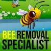 Bee Removal - Wildlife - Pest Control﻿